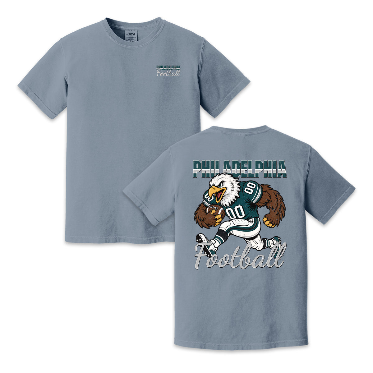 Philadelphia Football Eagle Graphic T-Shirt, Vintage Sports City Tee for Football Fans
